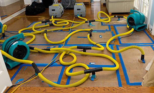 Professional Burst Pipe Water Damage technician working in Wallsburg, UT